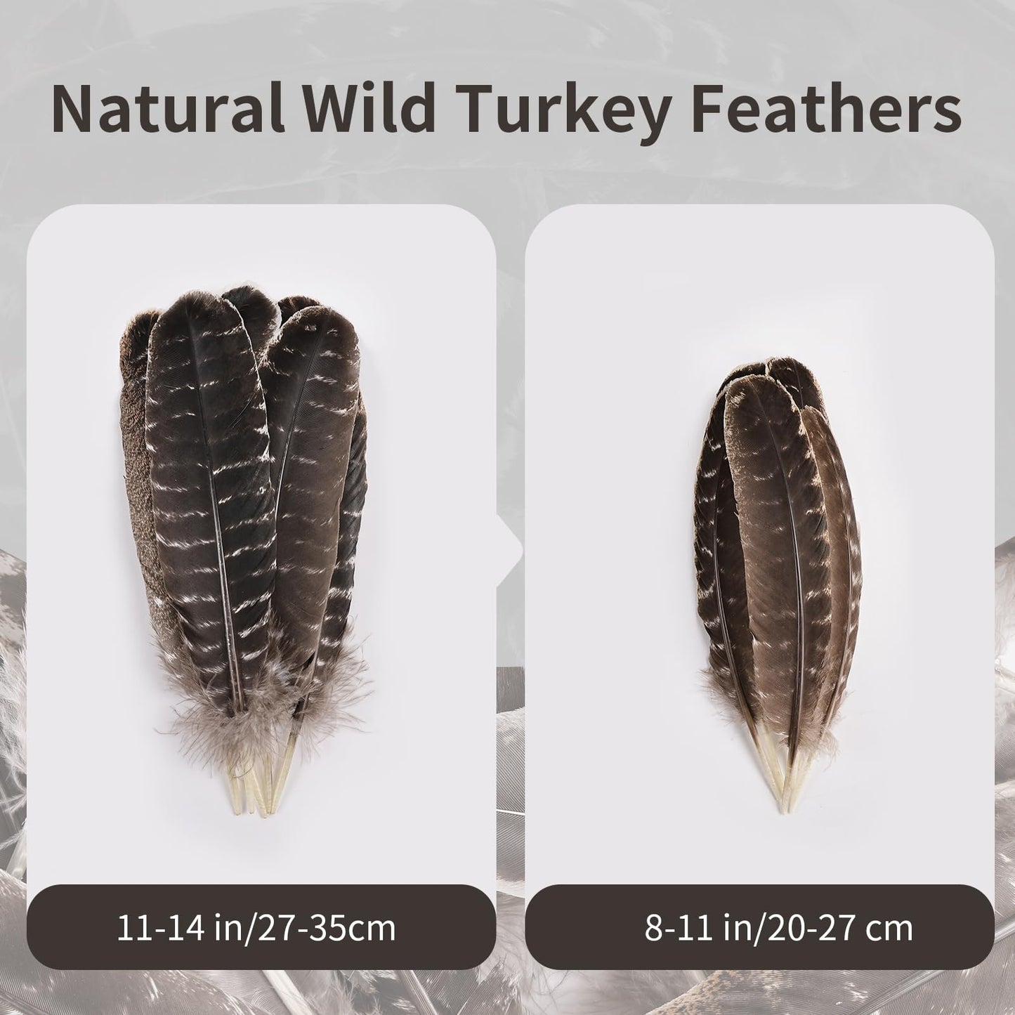 Natural Turkey Feathers, 30pcs 8-11 inch (20-27cm) Bulk Feathers for DIY Jewelry Hat Wedding Home Party Dream Catcher Supplies