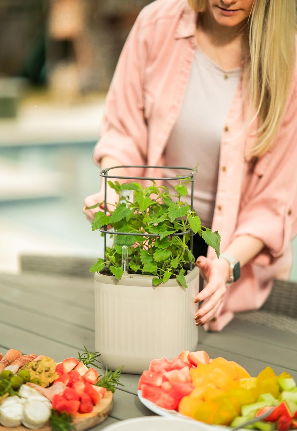 Countertop Vego garden Mini Planter Indoor Pots with Trellis Self-Watering Herb Planter for Climbing Vegetables Flowers