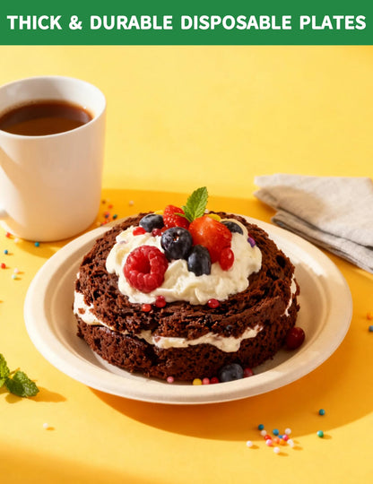 100% Compostable 7 Inch Paper Plates [144-Pack] - Biodegradable Sugarcane Bagasse Dessert Plates for Cake, Appetizers, Salads | Heavy Duty Disposable Plates for Kids Birthday & Holiday Party Supplies