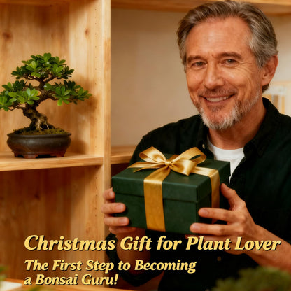 Bonsai Tree Starter Kit for Beginners - Indoor Live Plant Gardening Adult Craft DIY Kits - Unique Christmas, Birthday, White Elephant Gifts for Women, Men & Kids