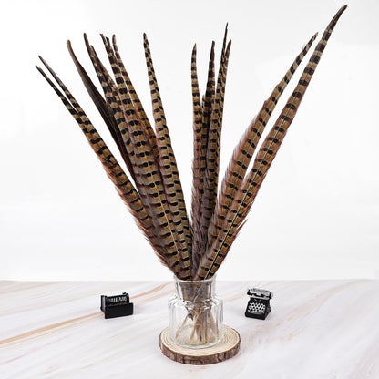 MAOFENG 12pcs Natural Feathers Male Ringneck Pheasant Tails Feathers 16-18inch 40-45cm for Crafts Wedding Party Performance Home DIY Decoration,Male Pheasant Feathers