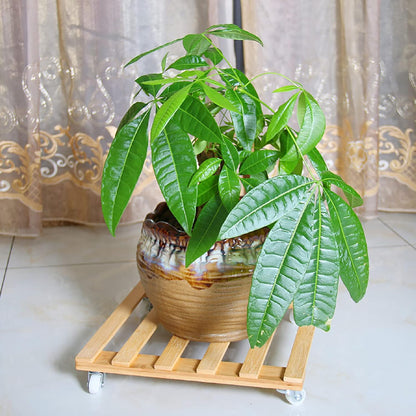 3 Pack 100 Lbs, 12 Inch Cedilis Plant Caddy, Bamboo Plant Stand with Rolling Wheels, Mobile Flower Pot Mover Roller