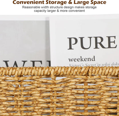 Healeved Woven Seagrass Magazine Basket, Floor Magazine Holder for Books, Newspapers, Tablets