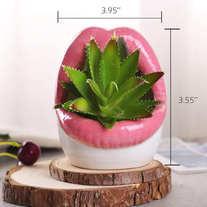 WHJY Sexy Lips Planter Pot, Pink Ceramic Succulent Planter