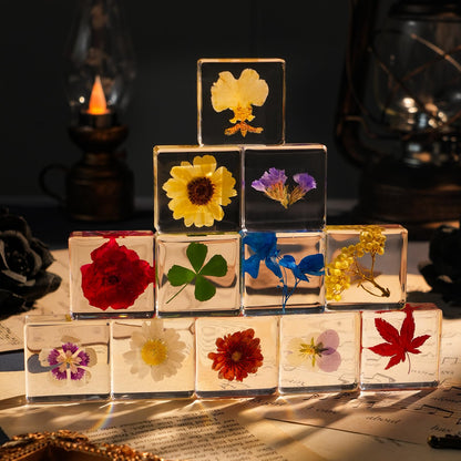 12 Pcs Flower Paperweight, Real Flower Specimen Pressed Flowers in Resin, Botanical Paperweights for Desk Decor, Science Education & Unique Display Supplies (12 Pcs Flower Set 3)