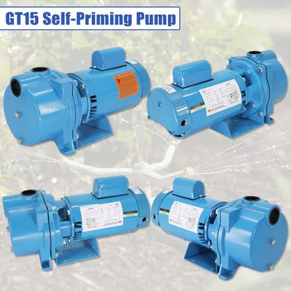GT15 Self-Priming Centrifugal Pump, 1.5HP, Single Phase Cast Iron Water Pump for Agricultural & Landscape Irrigation