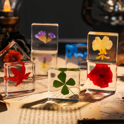 12 Pcs Flower Paperweight, Real Flower Specimen Pressed Flowers in Resin, Botanical Paperweights for Desk Decor, Science Education & Unique Display Supplies (12 Pcs Flower Set 3)