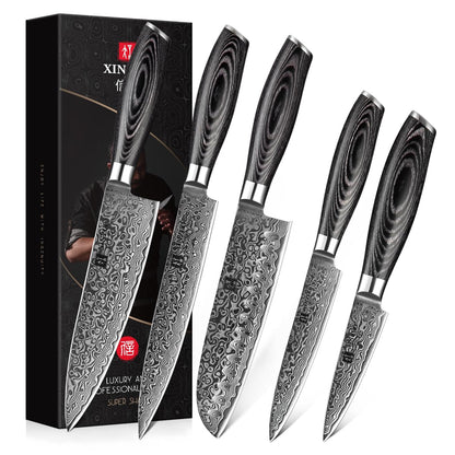 XINZUO 5-Piece Kitchen Knife,Super Sharp Damascus Steel Professional Chef Knife Set with Pakkawood Handle, Gift Box