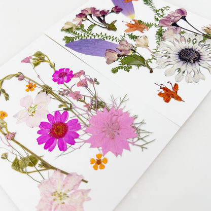 Cayway 4 Pack Pressed Flowers Natural Dried Flowers Colorful Resin Flowers Real Pressed Flowers for Resin Scrapbook DIY Art Crafts, Epoxy Resin Jewelry, Card Making Supplies, Style G