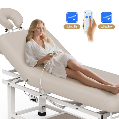 Dolonm 30 Wide x 75 Long Heavy Duty Electric Stationary Massage Table with Backrest Adjustable and Storage Space for Treatment/Medical Spa/Facial/Beauty/Massage Bed and More - Beige Gray