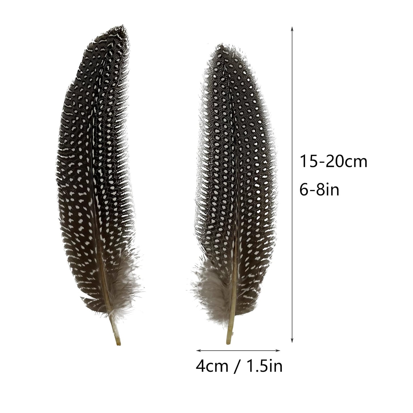 50PCS Natural Spotted Feathers Pheasant Feathers for Craft Clothing Jewelry Accessories Decoration (Guinea Fowl Wing Feather 6-8")