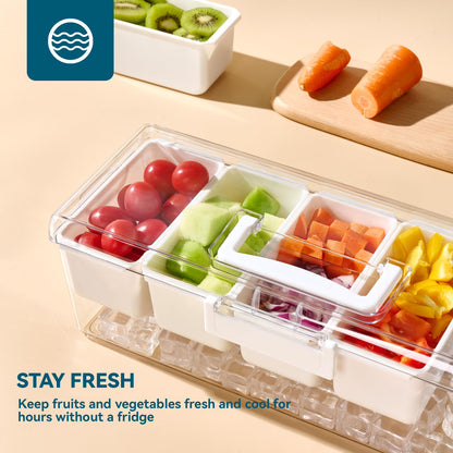 Luckore Chilled Condiment Caddy Server with 5 Removable Compartments Containers & Hidden Handle Design, Ice Chilled Condiment Tray Organizer, Clear Garnish Tray for Camping, Kitchen, Fruit, Salad