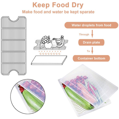 Yiautao Food Storage Container, Plastic Food Containers with Removable Drain Plate and Lid, Stackable Portable Freezer Storage Containers - Tray to Keep Fruits, Vegetables, Meat and More (4,Large)