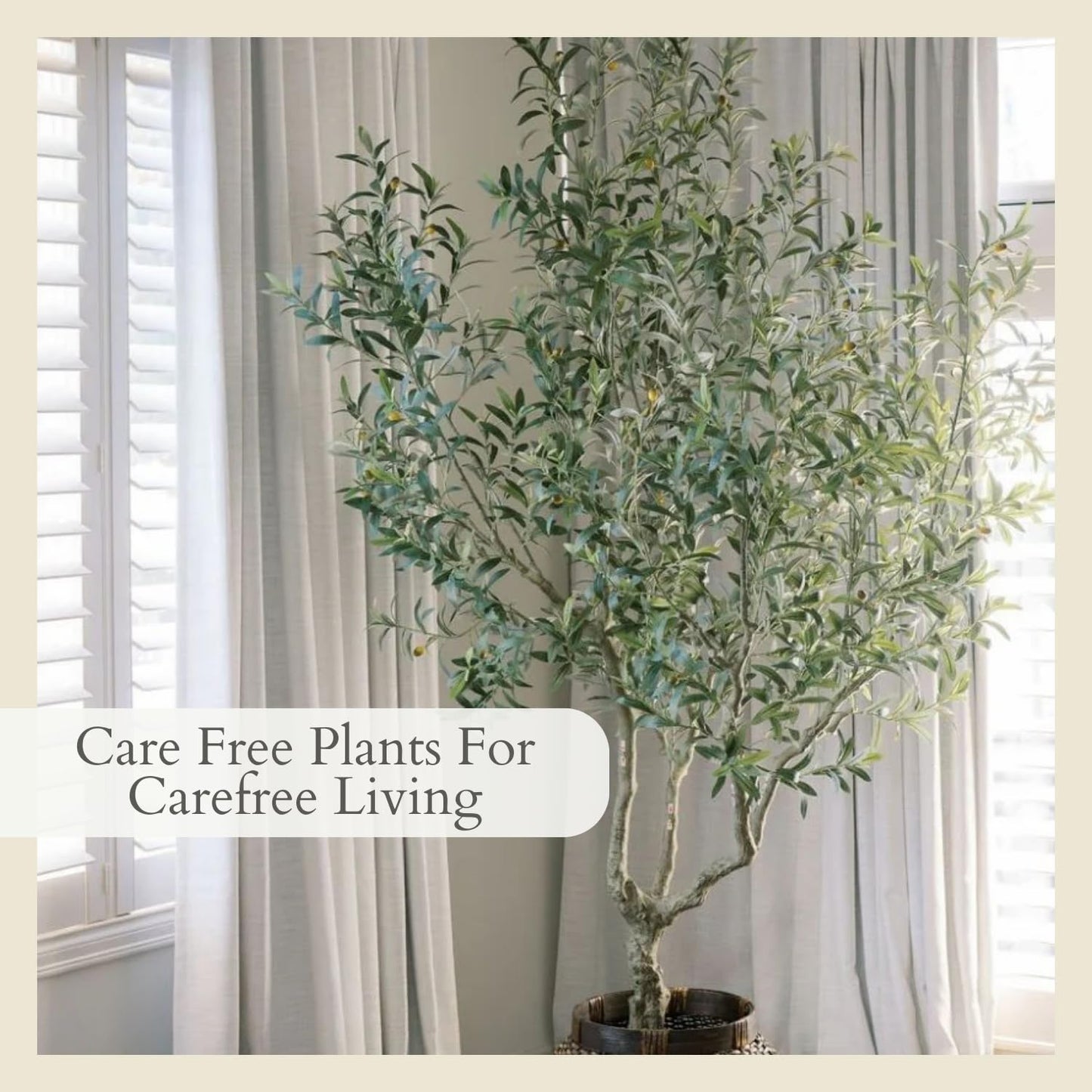 CG Hunter Designer Faux Olive Tree, Premium Handmade Artificial Indoor Tree Stands 8-ft Tall, Lifelike-Leaves & Hand Painted Trunk, Black Grower Pot Included