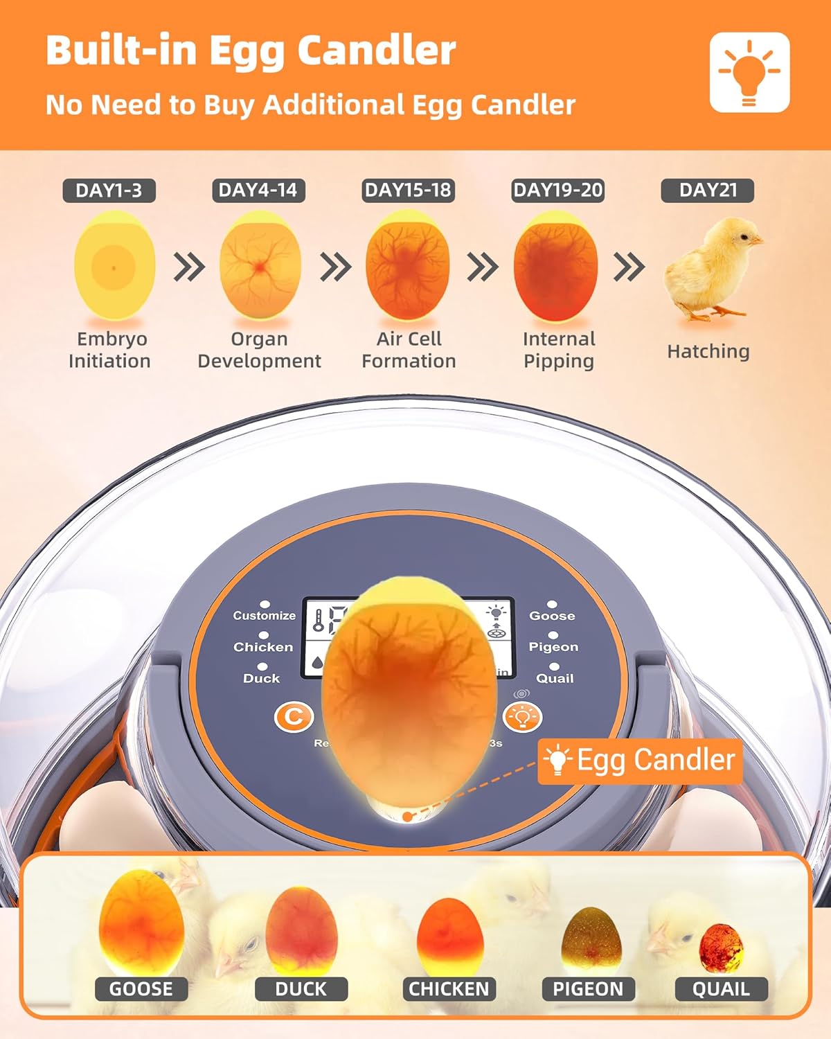 Somferic 12 Cozy Incubators for Hatching Eggs, Chicken Incubator with Automatic Egg Turning and Humidity Control, Baby
