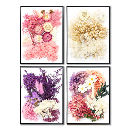 Vignee Real Dried Pressed Leaf Flowers-Multiple Colorful Pressed Flowers Daisies for Craft Resin Jewelry Making Art Craft DIY（White&Light Pink）
