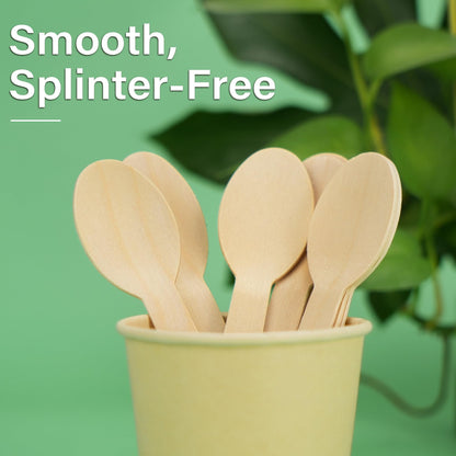 LotFancy Disposable Wooden Spoons, 250Pcs 6.25 inch Wood Cutlery Spoons, Biodegradable Compostable Eco-friendly Birchwood Sampling Tasting Spoons