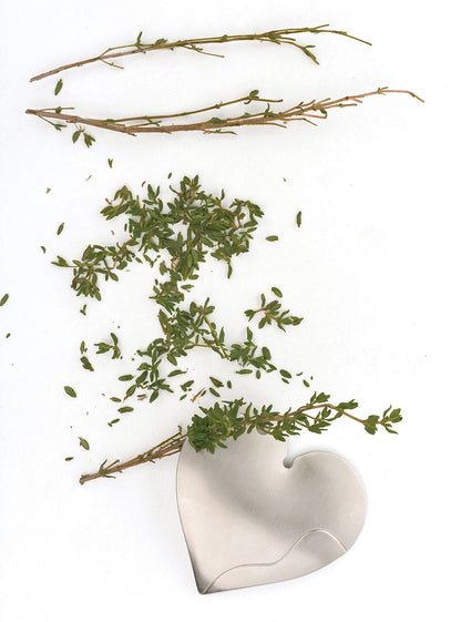 RSVP International Endurance Kitchen Collection Herb Stripper, Heart Shape, Stainless Steel