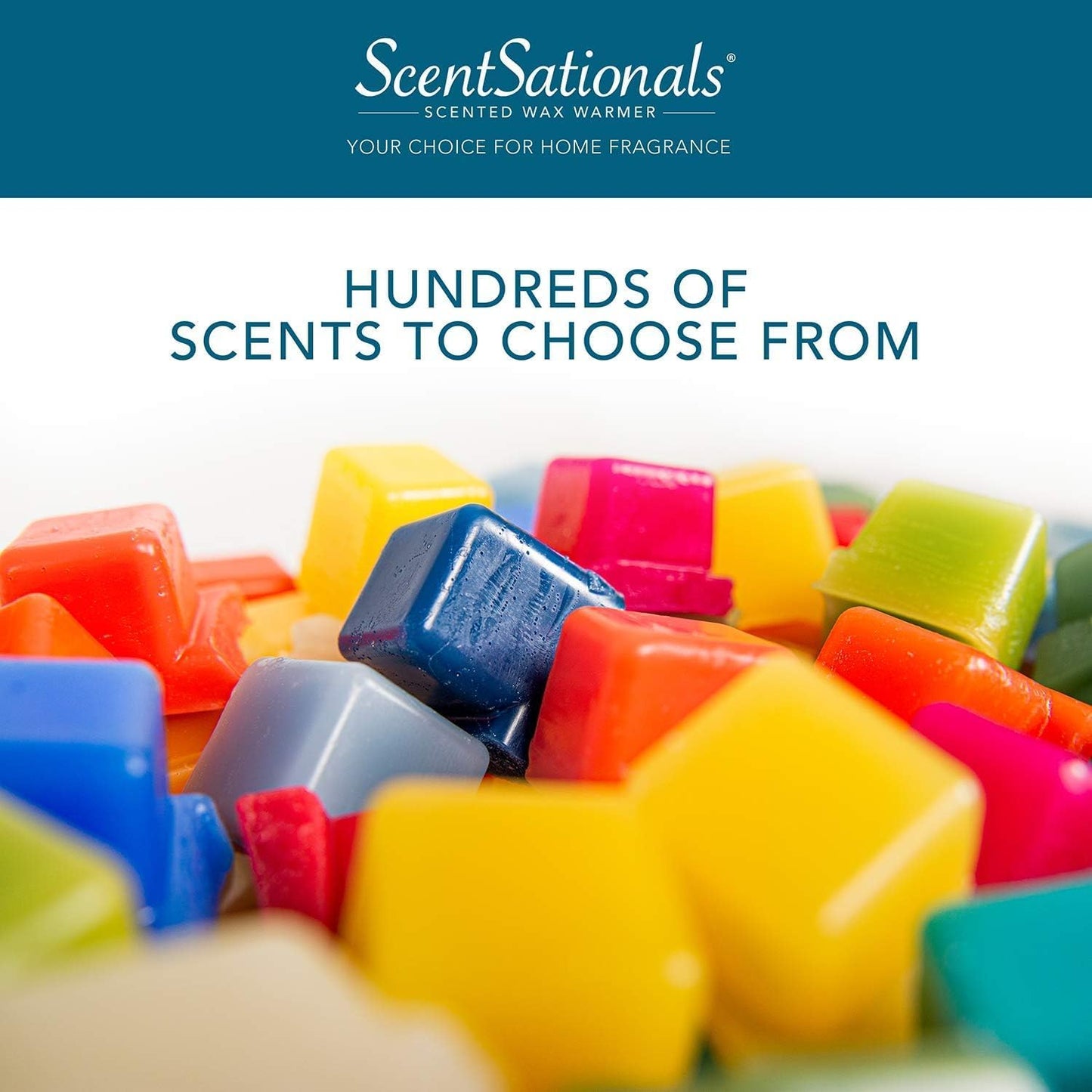 Scentsationals Wax Melts - Beach Please, Long Lasting Scented Melts for Warmer, 10oz (24-Cubes)