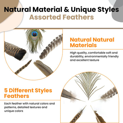 MARRTEUM 5 Style 10-12 Inch Natural Feathers, 20 Pcs Large Assorted Mixed Spotted Pheasant Peacock Turkey Feathers Decorative Bulk for DIY Crafts, Vase, Hat, Clothing, Wedding, Home, Party Decoration