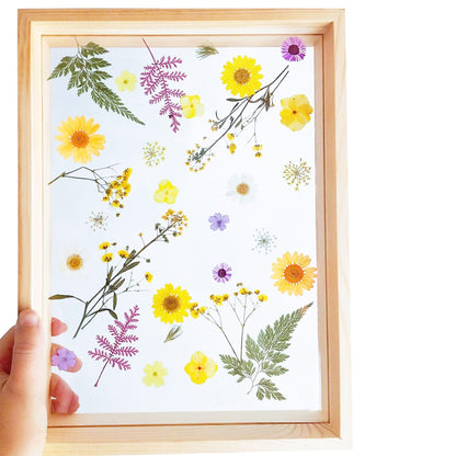 Cayway 4 Pack Pressed Flowers Natural Dried Flowers Colorful Resin Flowers Real Pressed Flowers for Resin Scrapbook DIY Art Crafts, Epoxy Resin Jewelry, Card Making Supplies, Style G