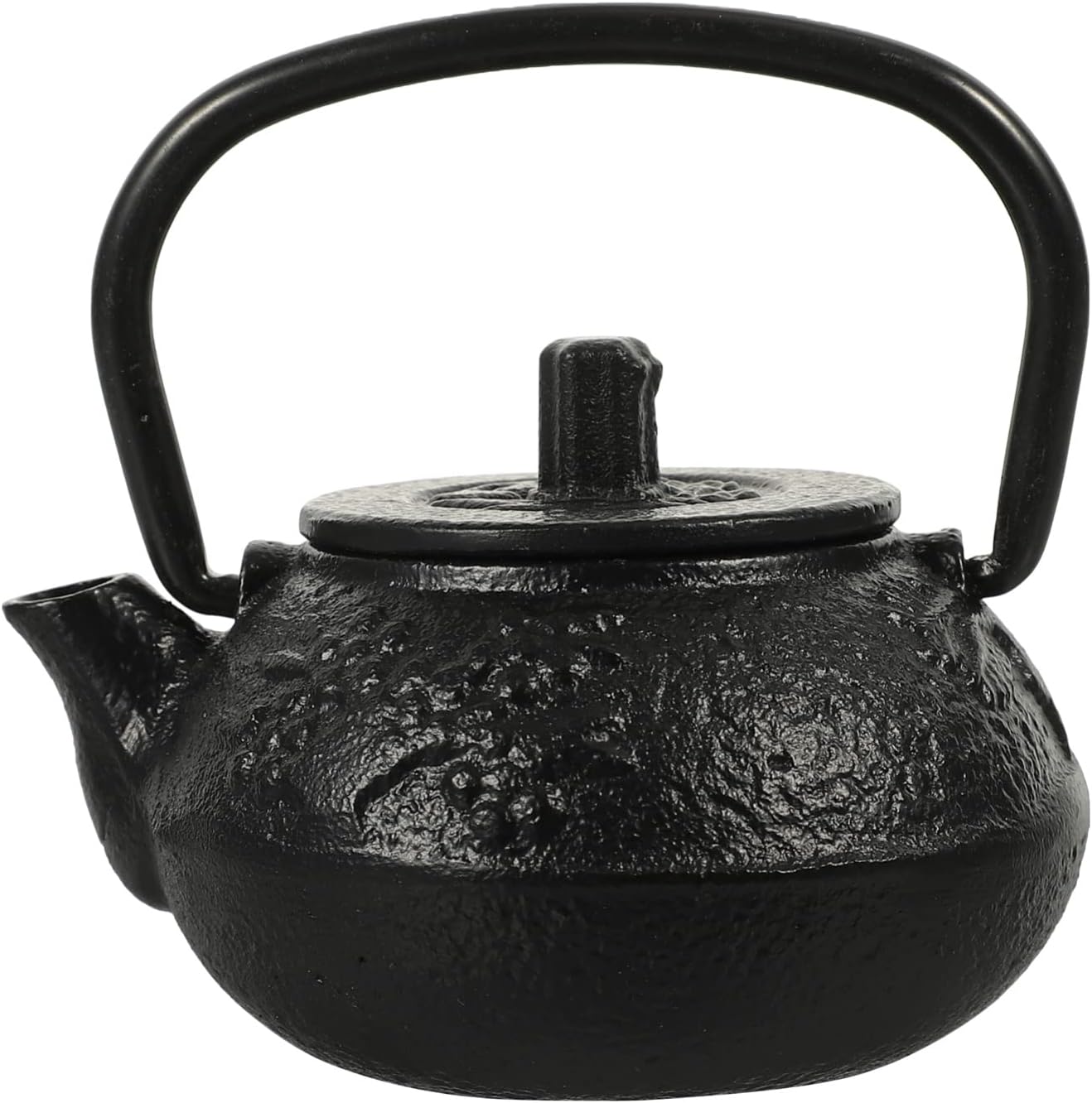 Luxshiny Cast Iron Teapot - Mini Iron Teapot, Chinese Kung Fu Teapot for Office, Home, Tea House, Stove Kettle, Chinese
