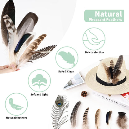Natural Feathers Bulk - 150PCS - 12 Styles Assorted Natural Feathers, Pheasant Feathers, Turkey Feathers for DIY Crafts, Wedding, Crafting Supplies