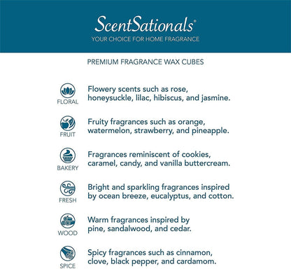 Scentsationals Wax Melts - Beach Please, Long Lasting Scented Melts for Warmer, 10oz (24-Cubes)