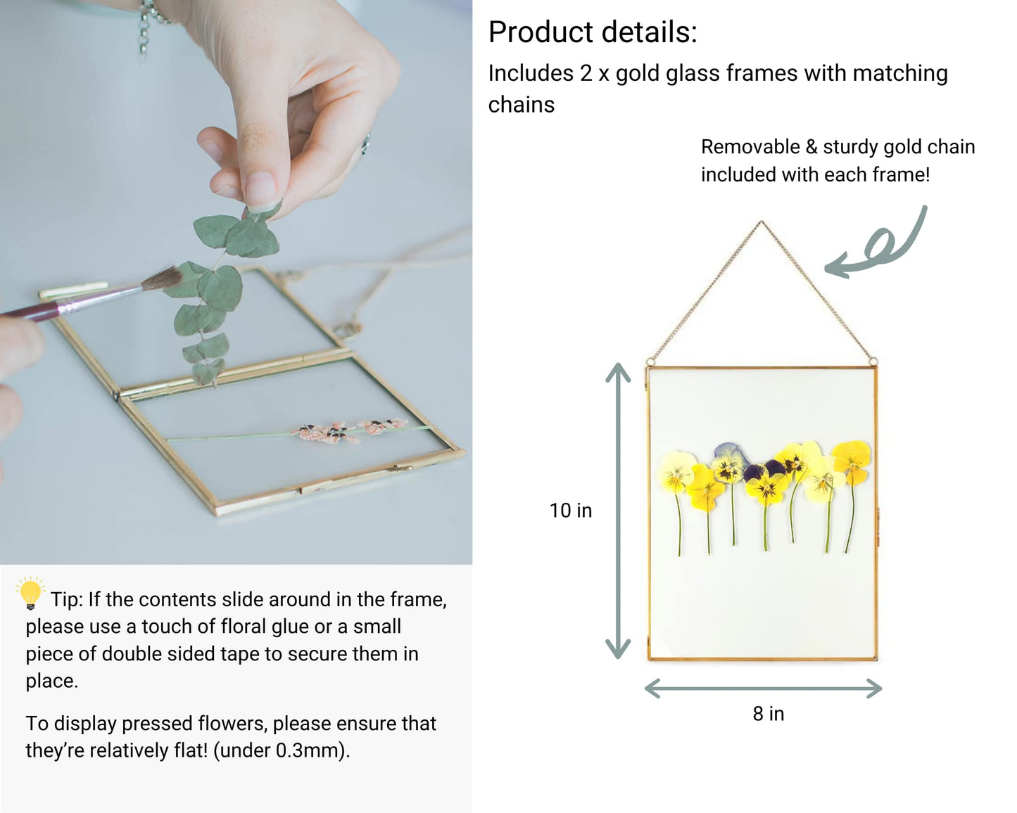 Beedecor Double Glass Frame for Pressed Flowers, Leaf and Artwork - Set of 2 Hanging Picture Frames, Tempered Glass Floating Pressed Flower Frames, Large Rectangular Wall Decor Photo Display, Clear Metal Glass Frames with Chain (8x10, Gold)