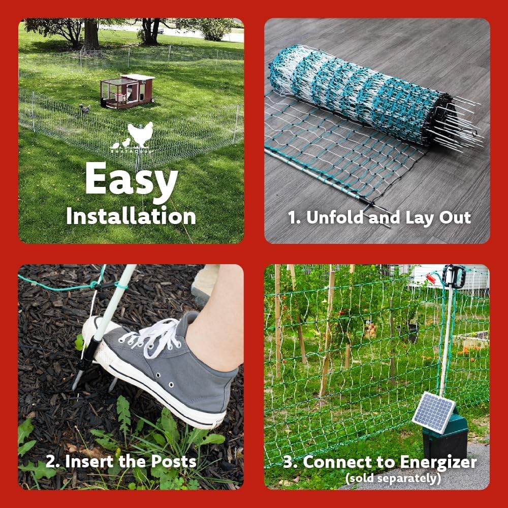 RentACoop Poultry Netting Electric Fence - Electric Poultry Enclosure for Chickens, Ducks, Turkeys - Suitable for 4 Week Old Chickens/Older and Adult Poultry - Energizer Not Included - 168' L x 48" H