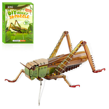 HELLOTOY 3D Acrylic Insects Puzzles DIY Bug Model Kit for Teenagers Educational Display Nature Decoration Figurine Sculpture (Grasshopper)