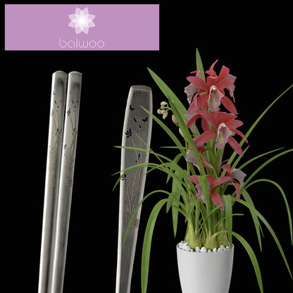 BALWOO Korean Flat Chopsticks [5 Sets][Made in Korea] 304 Premium Stainless Steel Mukbang Utensil Cutlery Silverware Metal Chopsticks (Orchid Painting)
