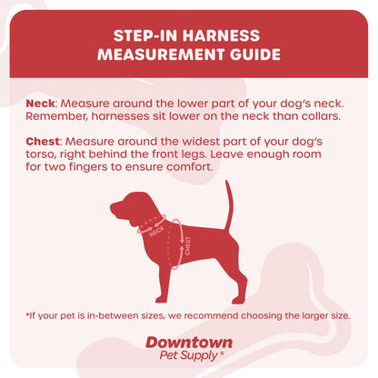 Downtown Pet Supply Step in Dog Harness for Small Dogs No Pull, Small, Floral - Adjustable Harness with Padded Mesh Fabric and Reflective Trim - Buckle Strap Harness for Dogs