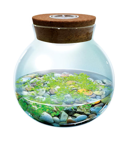 WaterPlants- Create Your Own Lush and Soothing Aquascape Terrarium Starter Kit, Indoor Plant Glass Globe Terrariums with Powerful 3 LED Light and Complete Supplies, Just Add Water!