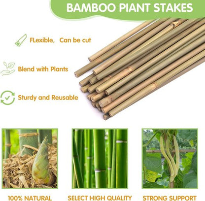 GAGINANG Bamboo Garden Stakes - 4.8FT Sturdy Natural Trellis Support for Tomatoes, Vegetables & Climbing Plants | 20 Pack