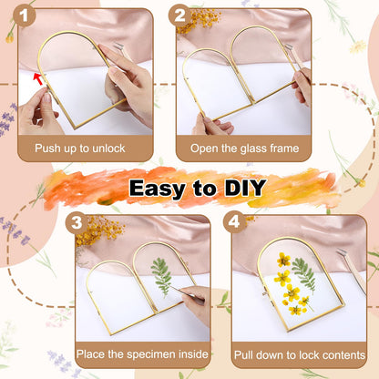 OGANAZI 4x6 Inch Double Glass Pressed Flower Frame - Golden Floating Frames for Dried Flowers, Art, Photos | Vintage Pressed Flower Frame Tabletop Display Holder for Home Plant Specimen (Half Circular)