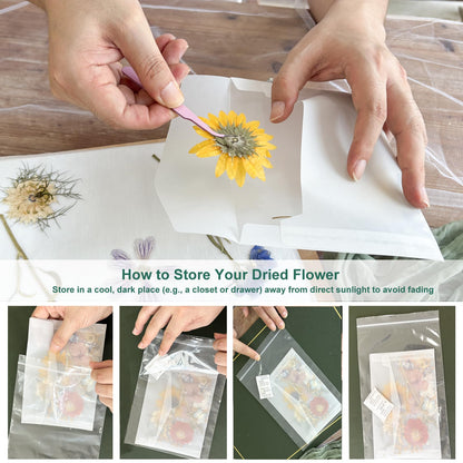 KAXYEW Large Flower Press Kit, 11"x11" Wooden Flowers Pressing Boards with Storage Bag, DIY Pressed Flowers Art - Fridge Magnet Bookmark Art Craftst Presservation Gifts for Flower Plant Lovers