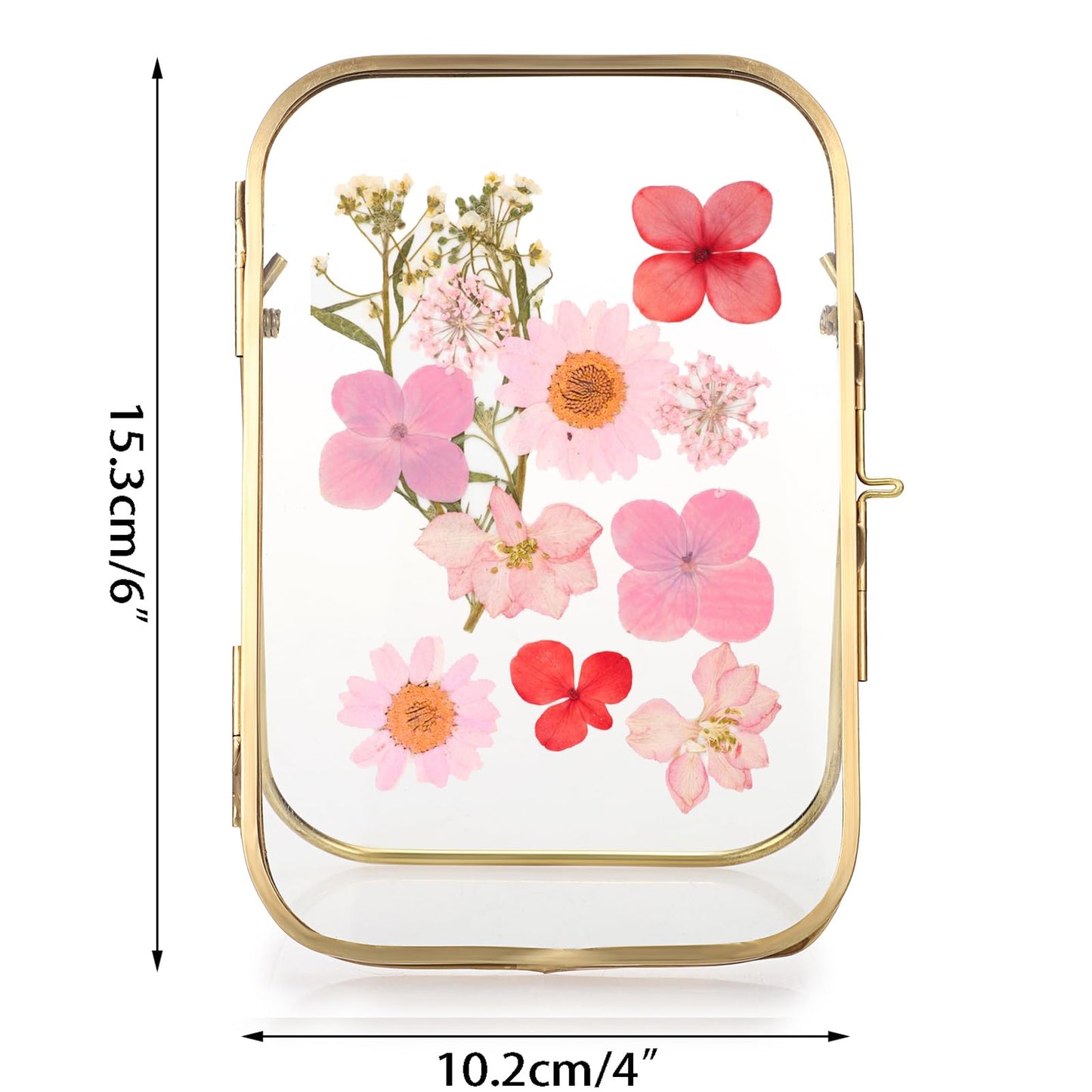 JUXYES Tabletop Double Glass Brass Frames for Pressed Flowers, Double Sided Glass Frame Gold Floating Artwork Display Frames for Photo, Picture, Dried Pressed Flower, etc, 4x6 Inches