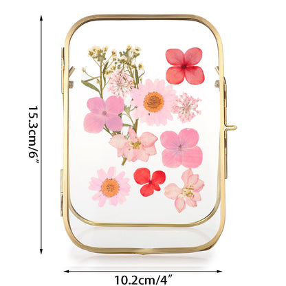 JUXYES Tabletop Double Glass Brass Frames for Pressed Flowers, Double Sided Glass Frame Gold Floating Artwork Display Frames for Photo, Picture, Dried Pressed Flower, etc, 4x6 Inches