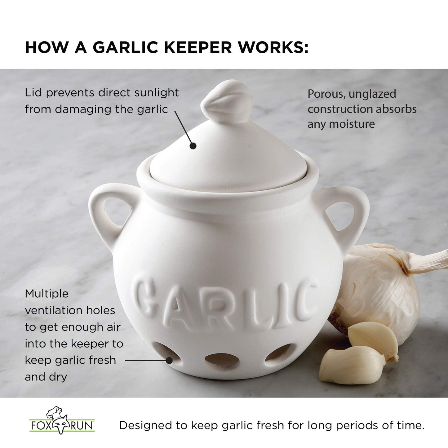 Fox Run Garlic Keeper and Storage, White Ceramic, 5.25" x 4.25" x 5.5"
