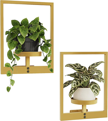 Bamworld Gold Plant Stand Indoor, Plant Hanger Wall Planters for Indoor Plants Window Plant Shelves Plant Holder Wall