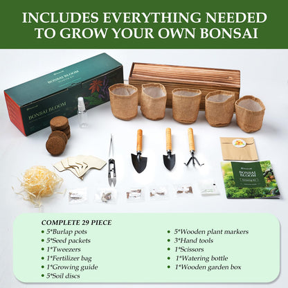 5 DIY Bonsai Tree Kit for Beginners, Complete Indoor Gardening Starter Kit with Seeds, Soils, Pots & Tools, Unique Birthday Gifts Ideas for Women, Men