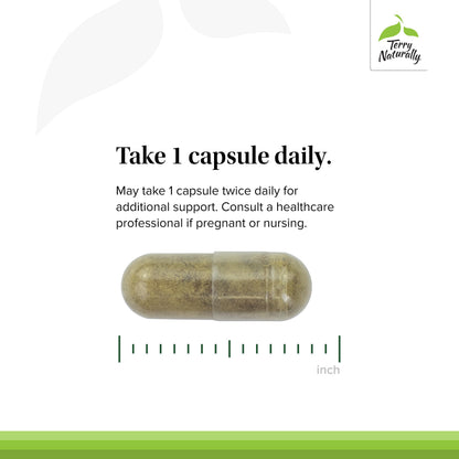 Terry Naturally GMT23 Greek Mountain Tea Plus Bacopa - Dietary Supplement for Focus Support - Brain Health Supplement for Attention to Detail - Herbal Supplement with Antioxidants - 30 Capsules