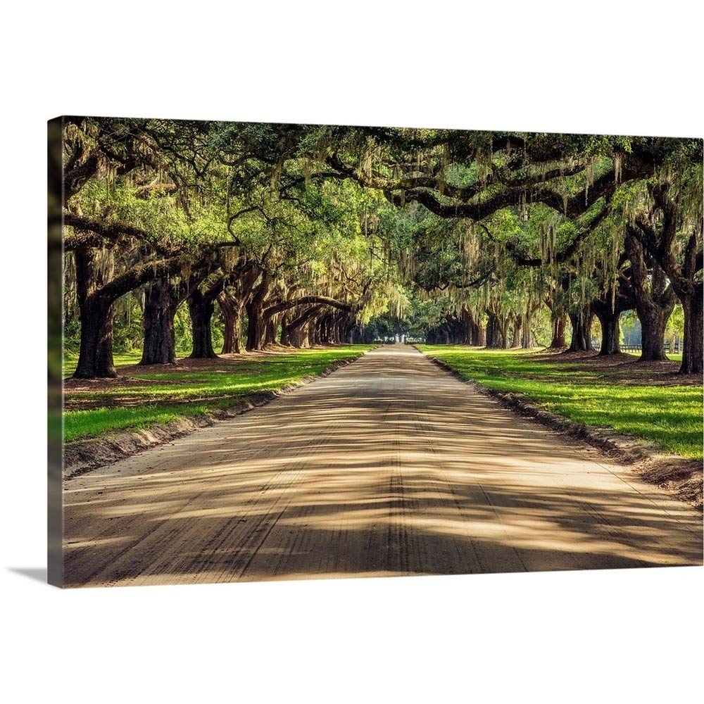 CANVAS ON DEMAND Oak Tree Lined Road At Boone Hall Plantation, Charleston Canvas Wall Art Print by Scott Stulberg, Home Decor, United States Artwork,60" x40in