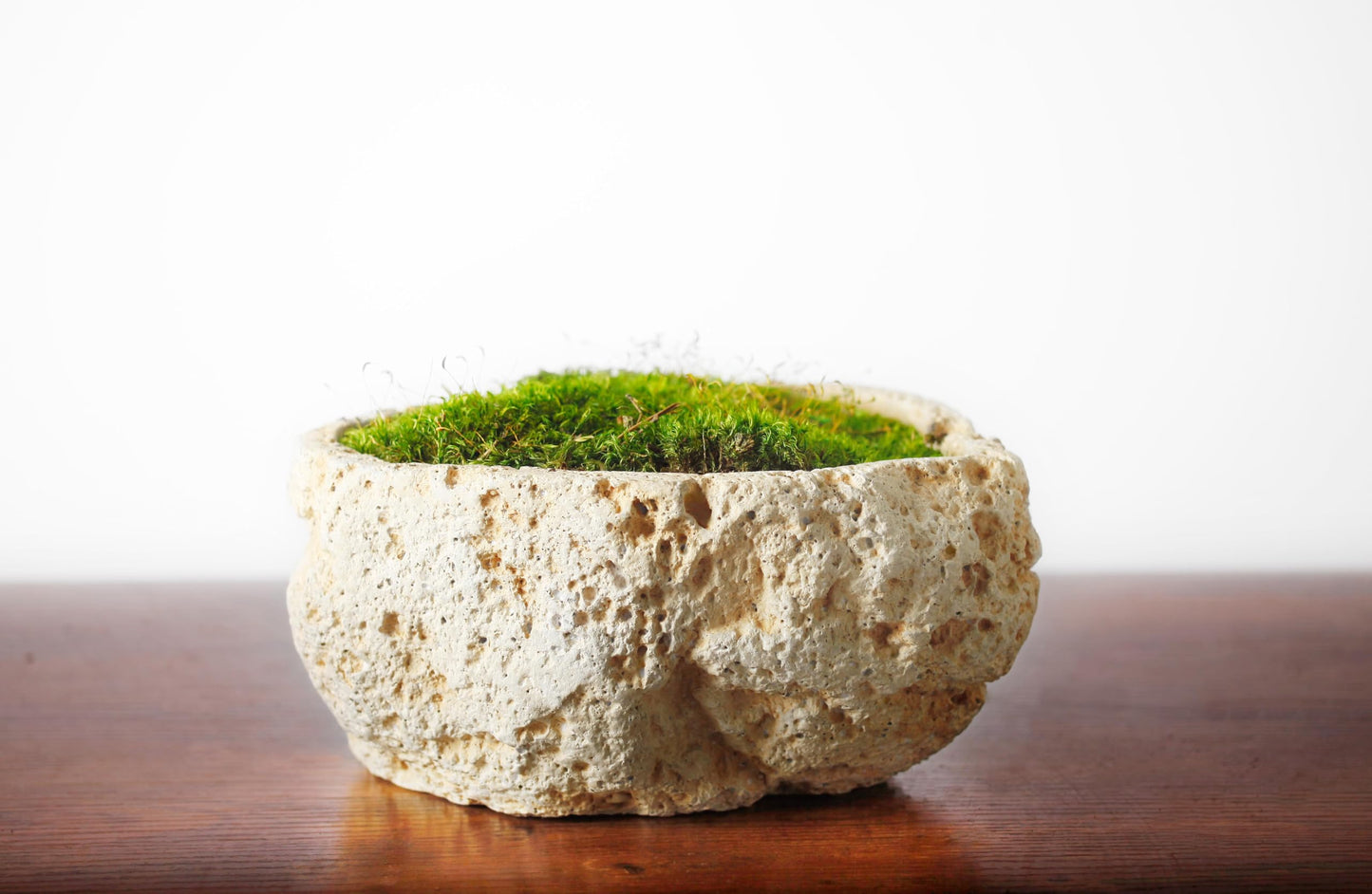SuperMoss (21538) Mood Moss Preserved, Fresh Green, 3 Pounds