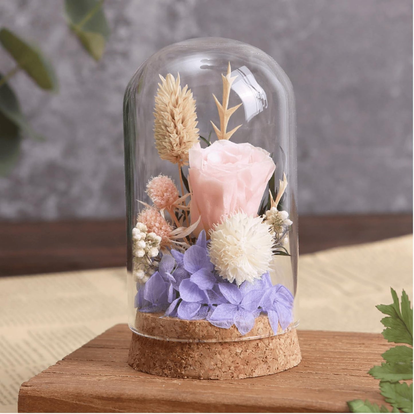 Kanlpeia 6 PCS Glass Dome with Cork, Decorative Jar & Bell Jar Display Cloche 2.37x3.94 in Clear Glass Cloche with Base for Miniatures, Succulents, Collectibles, Specimens & DIY Terrariums