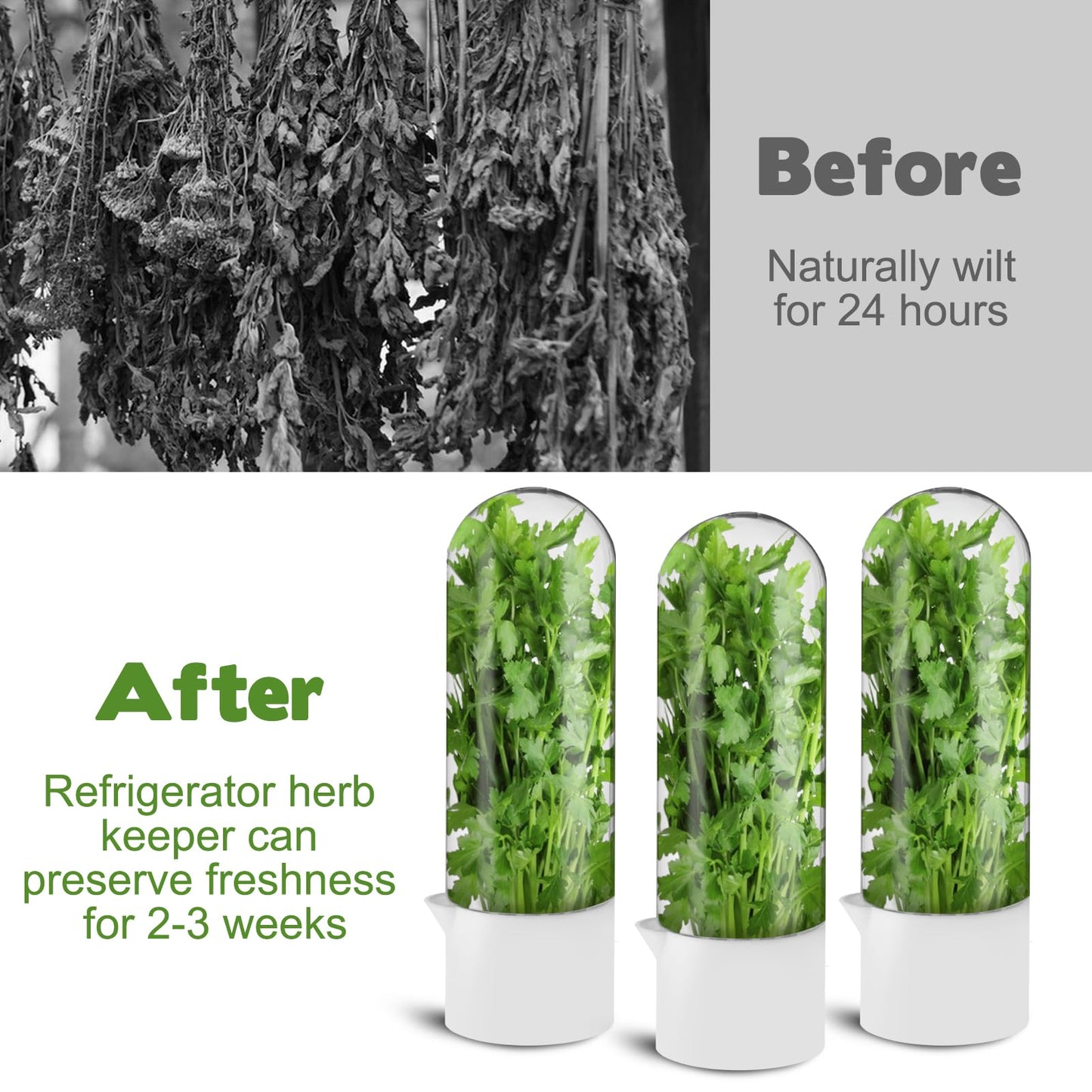 3 Pack Herb Saver for Refrigerator Large Fresh Herb Keeper Cilantro Container for Refrigerator Vegetable Preservation Container for Cilantro Asparagus Mint Rosemary Parsley Basil for 2-3 Weeks