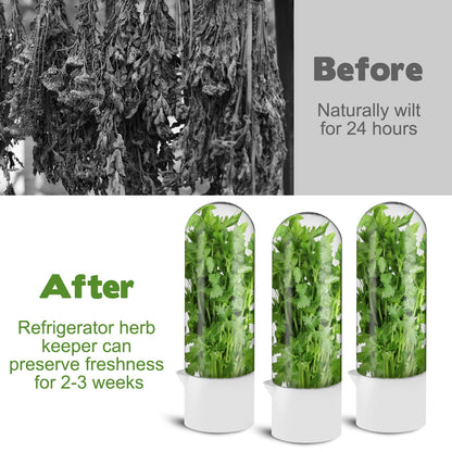 3 Pack Herb Saver for Refrigerator Large Fresh Herb Keeper Cilantro Container for Refrigerator Vegetable Preservation Container for Cilantro Asparagus Mint Rosemary Parsley Basil for 2-3 Weeks