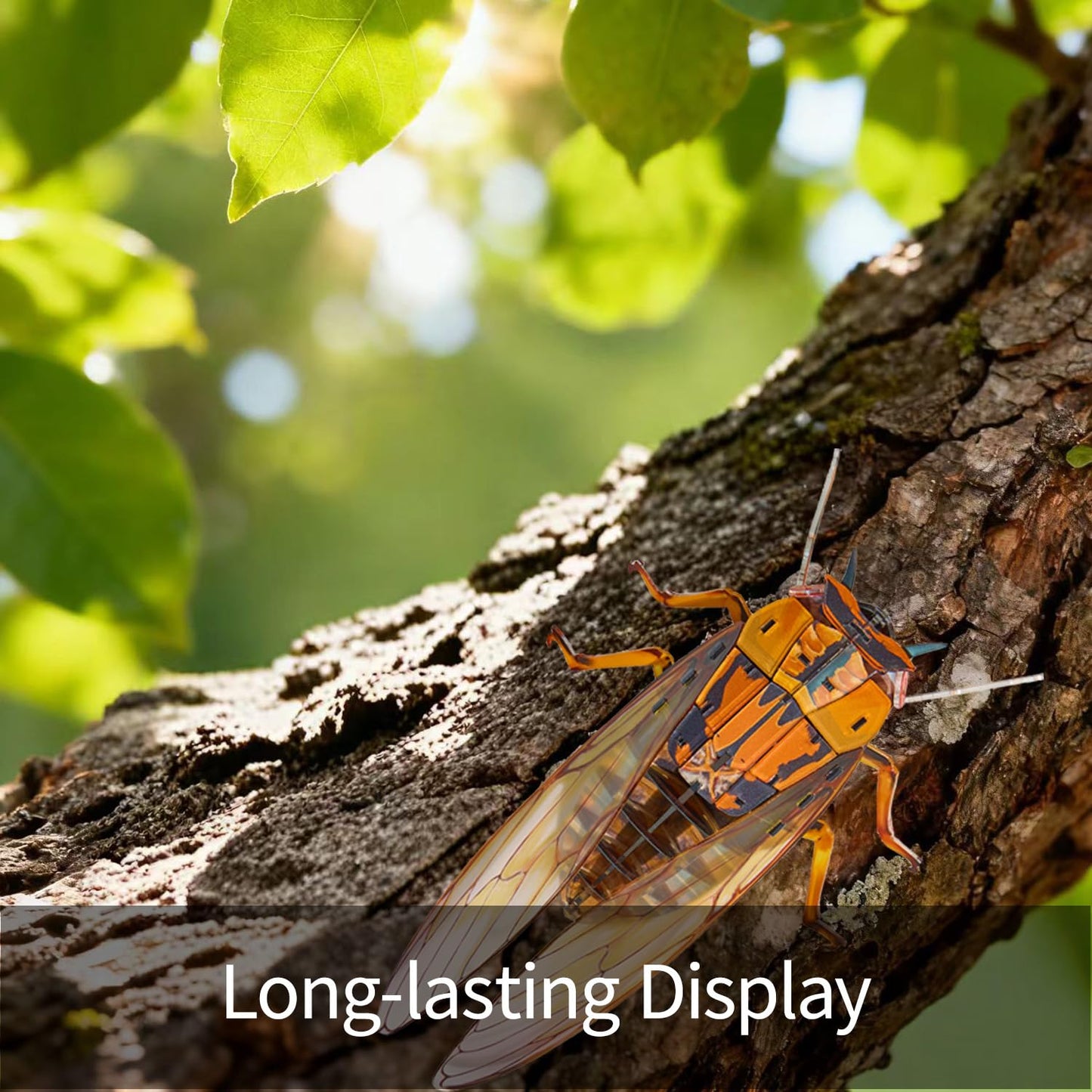 HELLOTOY 3D Acrylic Insects Puzzles DIY Bug Model Kit for Teenagers Educational Display Nature Decoration Figurine Sculpture (Cicada)