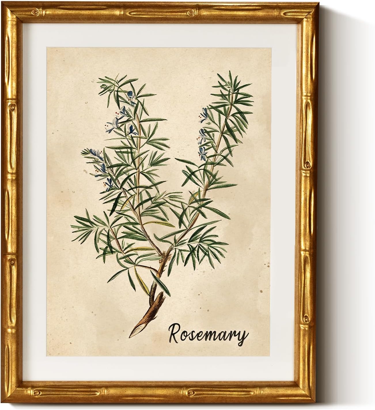 11x14inch InSimSea Gold Bamboo Framed Canvas Wall Art, Retro Herbs Rosemary Botanical Paintings, Antique Vintage